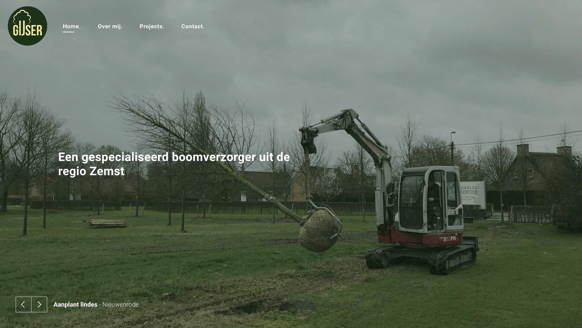 Gijser boomverzorging