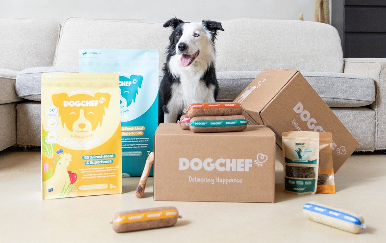 DogChef
